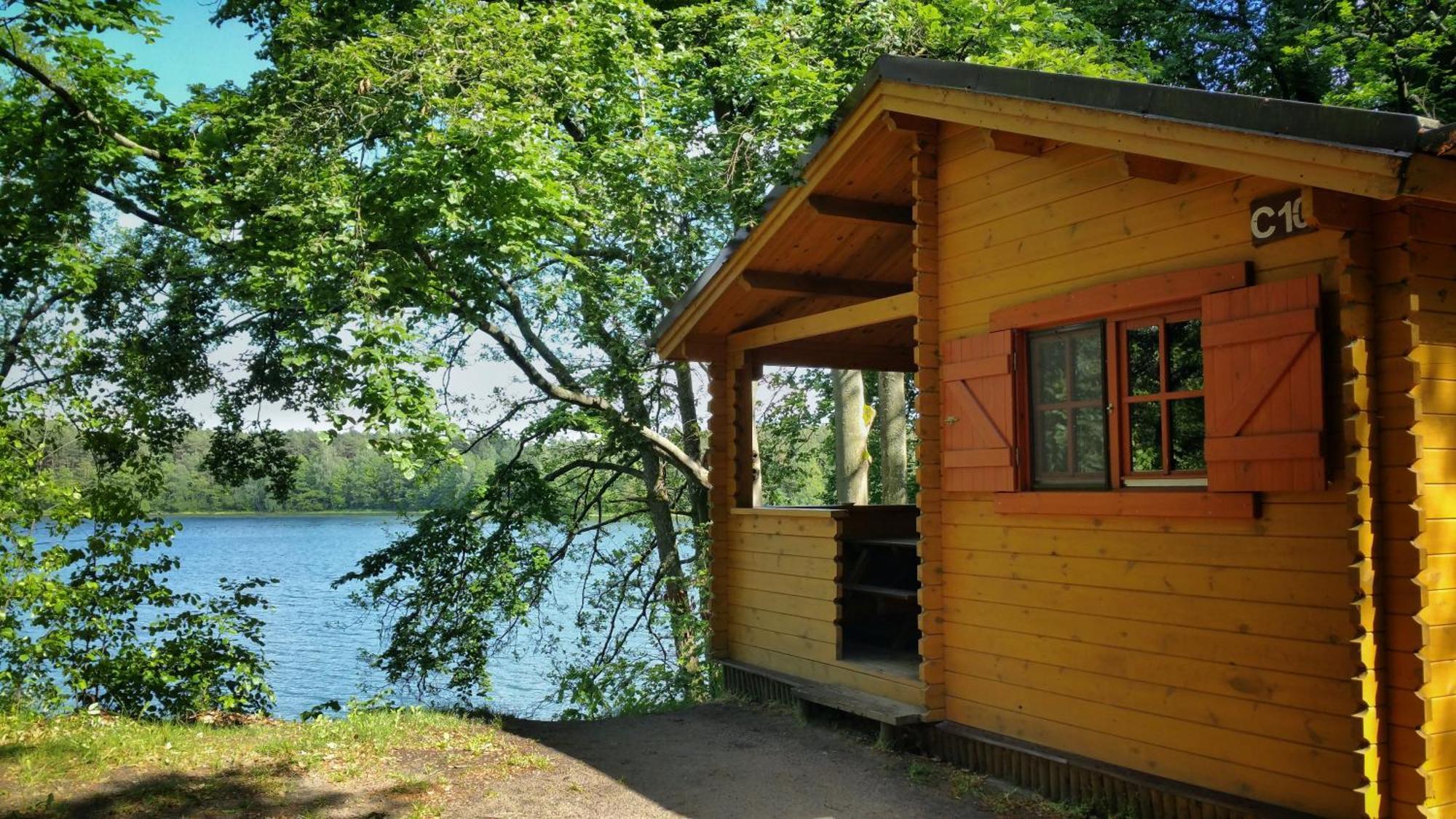 Villa Polwysep Lipa à Wdzydze Tucholskie Extérieur photo
